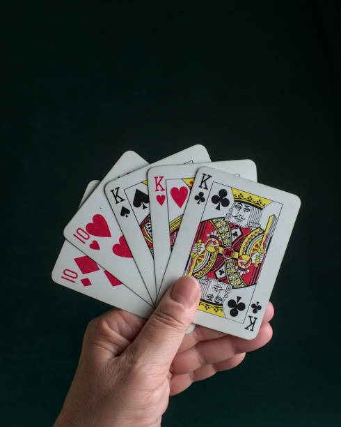 paito sdy warna Game categories